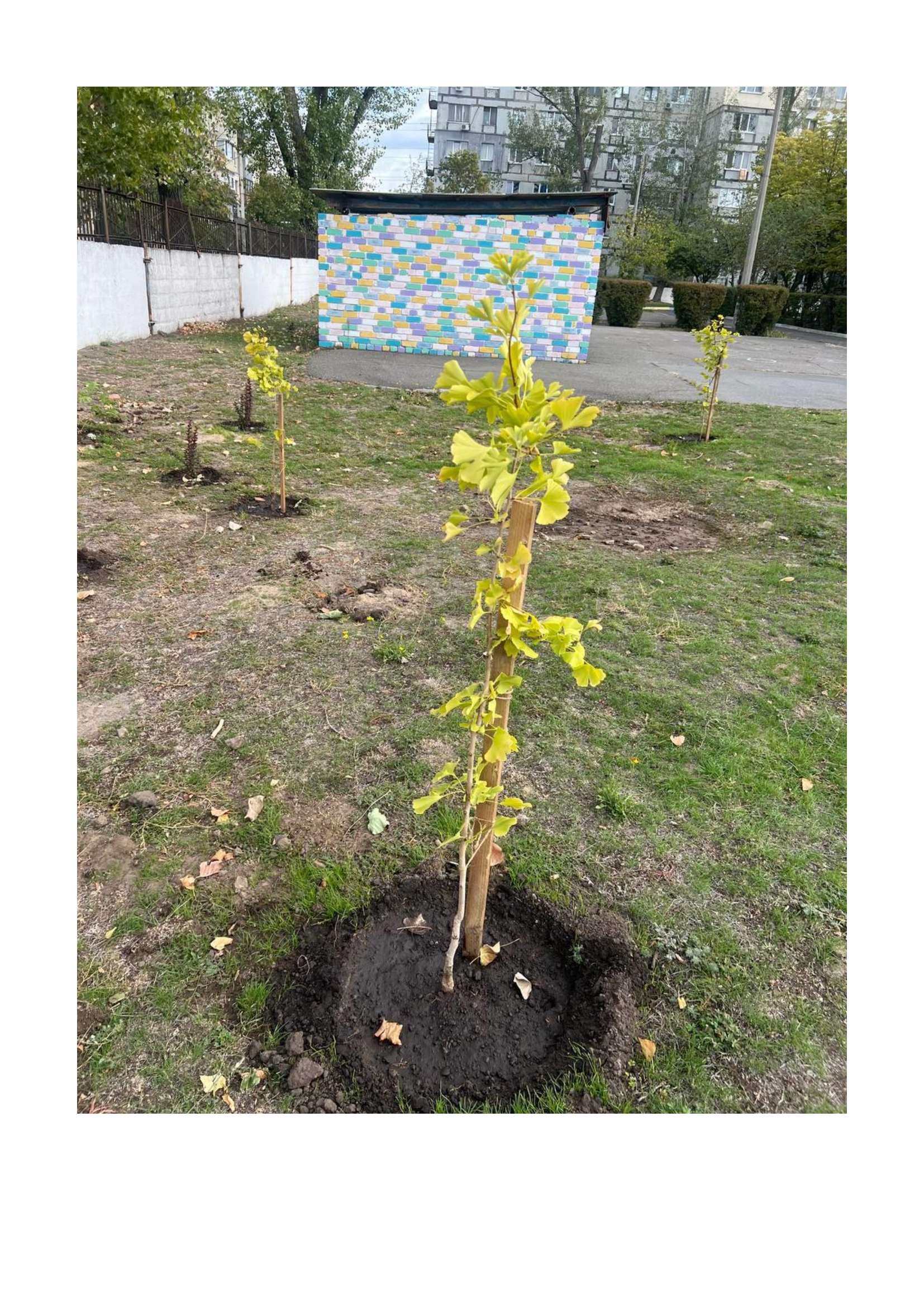 69cf2448269a47afa4532acea583b259-4