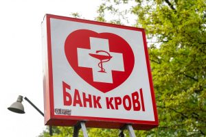 photo_5310164438424352508_y