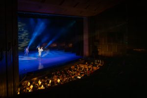 IMG_5165-Enhanced-NR