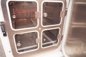 photo_5323264260475843859_y