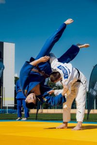 photo_5390850608875042776_y