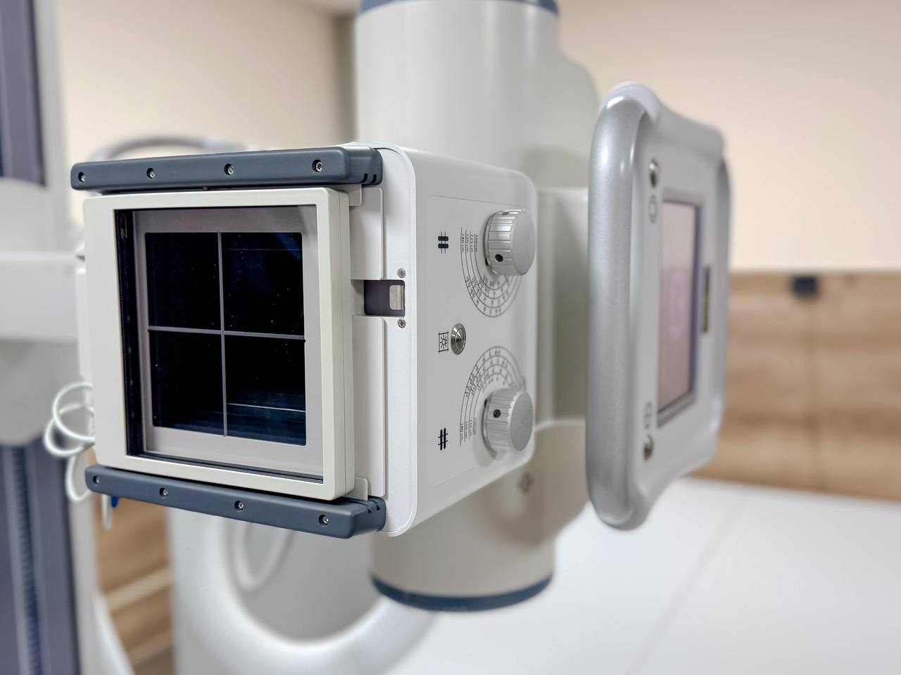 photo_5235647365727849290_y